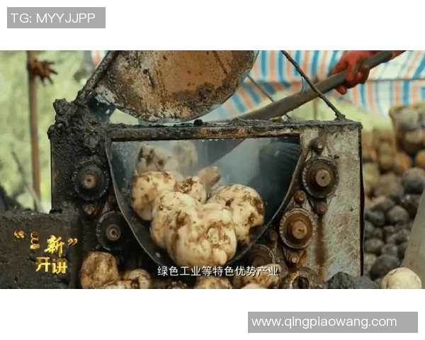 福建浔兴股份获得国家专利技术奖励，成为中国创新产业引领者