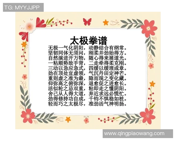 太极拳教学光盘：掌握传统武术精髓，提升身心健康的完美指南