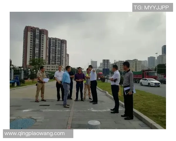 探索十二式简化太极拳的内涵与技巧提升之道