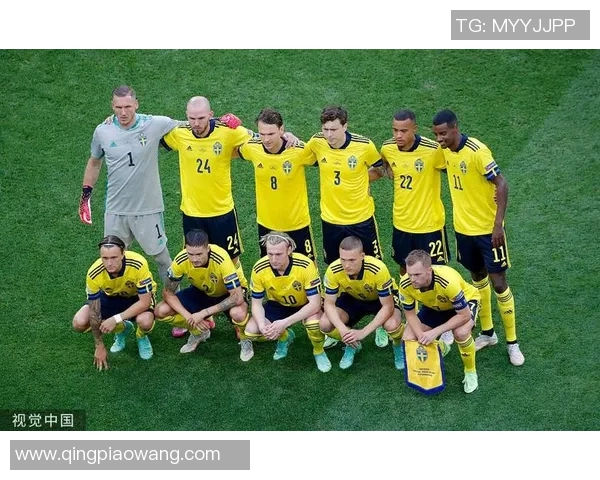 欧洲杯:瑞典与波兰握手言和 欧洲杯:瑞典与波兰握手言和