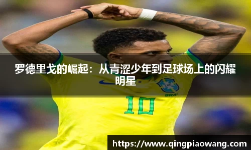 jbo竞博体育赛事
